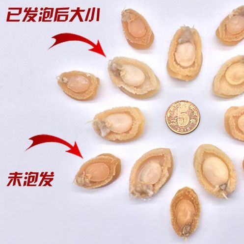 湛江小干鮑 天然海味，佛跳墻的點(diǎn)睛之筆